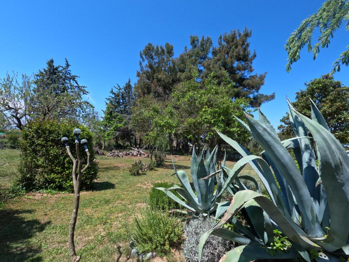 Pond And Pines, By Nice House By The Sea! Epanomi Exterior foto