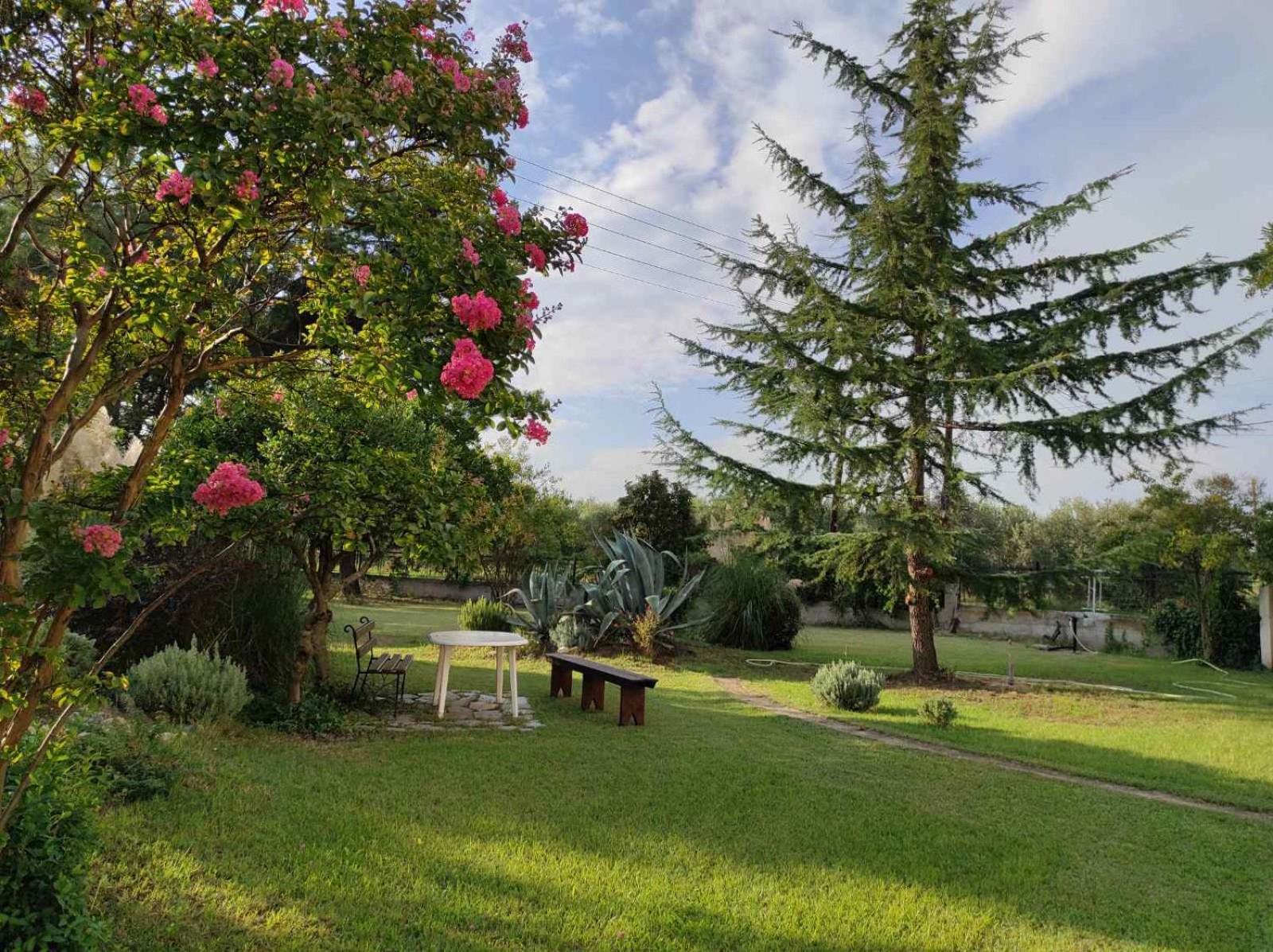 Pond And Pines, By Nice House By The Sea! Epanomi Exterior foto